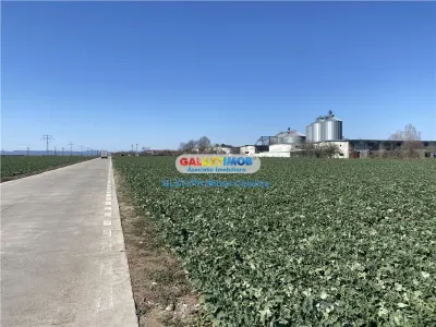 Vanzare teren industrial Paulesti Prahova gata de construit - foto 4