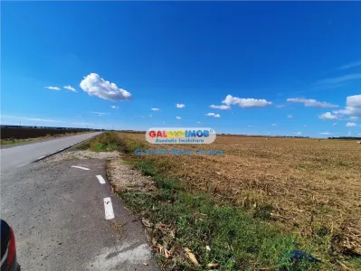 Vanzare teren intravilan Paulesti Prahova - foto 2
