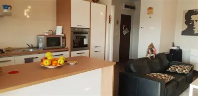 Inchiriere  apartament  2 camere Ploiesti, zona Albert - foto 7
