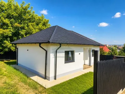 Casa 3 camere Horpaz Iasi FINALIZATA ! posibilitate 700 mp - Horpaz