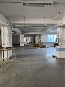 Exclusivitate - Proprietate Industriala De Inchiriat - Productie - Depozitare - foto 8