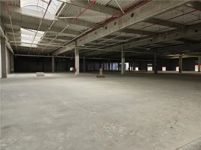 Spatiu Industrial - 6000 mp - Productie - Depozitare - Distributie - foto 11