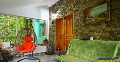 Pensiune turistica in Piatra Craiului, in circuitul  Plaiul Foii, 7700 mp teren - foto 8