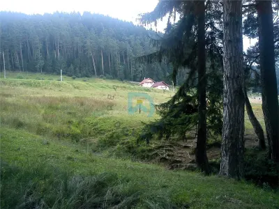 Teren Poiana Angelescu, Sacele, Brasov - foto 15