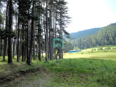 Teren Poiana Angelescu, Sacele, Brasov - foto 16