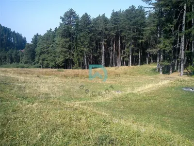 Teren Poiana Angelescu, Sacele, Brasov - foto 5