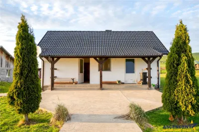 Ferma+Anexe specifice+ Constructie rezidentiala+222.000 mp domeniu - foto 5