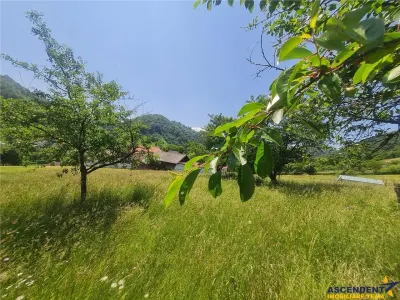Teren 1.450 mp intravilan, la DN, cu priveliste de carte postala, Bran, Moieciu, Brasov - foto 19