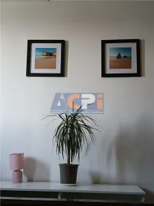 Apartament 3 camere zona Victoriei-Titulescu - foto 11