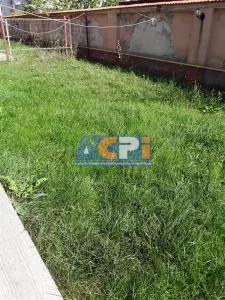 Inchiriere Vila Lux. 4 camere , Fundeni - foto 14