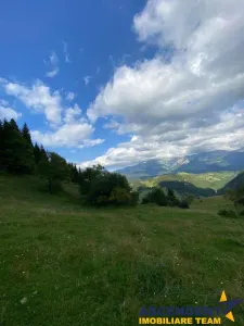8.000 mp teren, Bran, Fundata, Brasov - foto 5