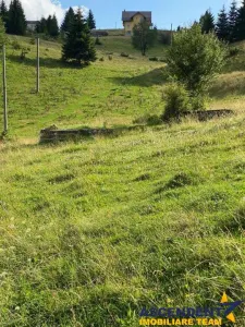 8.000 mp teren, Fundata - foto 3