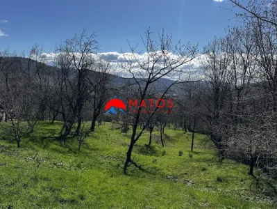 Casa de vanzare Comarnic Ghiosesti | 3.025 mp | 49.000 € FIX | 0% comision - foto 6