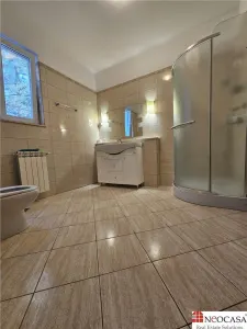 IANCU NICOLAE, S+P+1, 6 CAMERE, 410 MP, PISCINA, CURTE SUPERBA! - foto 15