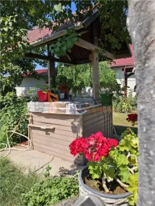 Casa tip parter + beci si teren in Candesti, Vernesti - foto 20