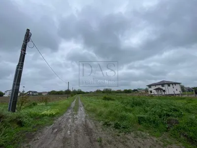 Teren intravilan | 3993 mp | Ciorogarla, Ilfov | Utilitati - foto 10