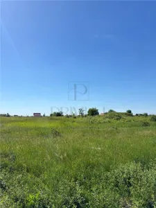 MOSNITA VECHE- 658 mp- TOATE UTILITATILE - foto 2