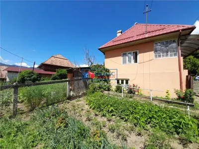 Vanzare casa cu anexe si 5500 mp teren, Valea Ariesului, Salciua - foto 2