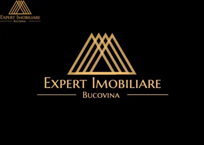 Spatiu pentru birouri de inchiriat 100m de primarie - foto 3