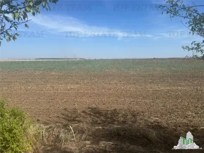 Vanzare teren intravilan construibil, in Branesti-Ilfov, 1330 mp, ideal rezidenta sau investitie, scadere de pret. - foto 3