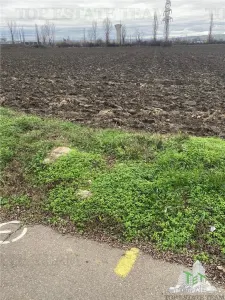 Teren Extravilan 60 HA, in Berceni-Prahova, investitie majora - foto 5