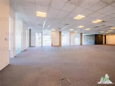 Spatiu de Birouri de 363 mp in Zona Herastrau - foto 3