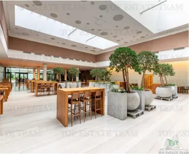 Spatiu de Birouri de 494 mp in Zona Baneasa - foto 3