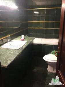 Vila de vanzare cu venit din chirie | Restaurant cu Terasa si 2 Apartamente  | Imobil  renovat  integral | Unirii - Cantemir - foto 7
