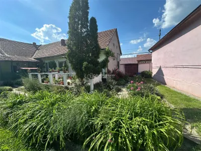 Bocsa Montana, Casa mare la strada principala - foto 2
