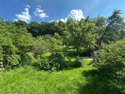Bocsa Montana, Casa mare la strada principala - foto 21