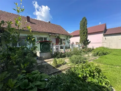 Bocsa Montana, Casa mare la strada principala - foto 25