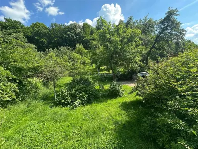 Bocsa Montana, Casa mare la strada principala - foto 7