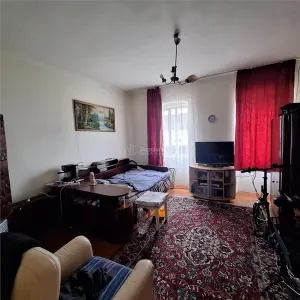 Bocsa Montana, Casa mare la strada principala - foto 10