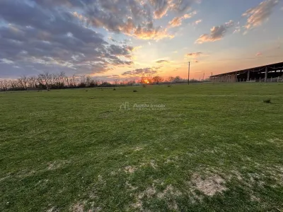 Bocsa Romana, 2 terenuri intravilan, 10.000 Mp.(57.500 Euro) si arabil, 80.000 Mp.(54900 Euro, 8 HA) langa Hala Transavia - foto 9