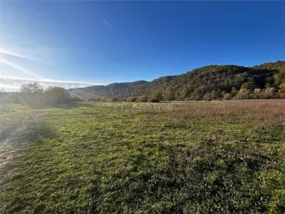 Bocsa Teren Intravilan 2754 Mp. - foto 4