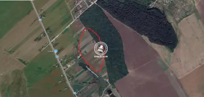 Tren Iepureni la padure - Movileni
