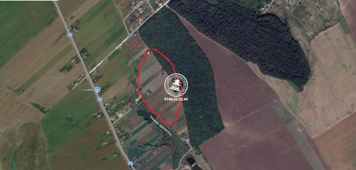 Teren Iepureni la padure - Movileni
