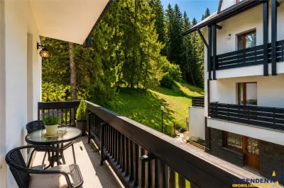 Colt de rai in Poiana Brasov: Rezidential/Pensiune amenajata, gata de preluare - foto 15