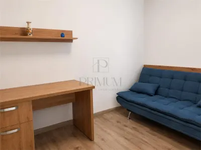 ARADULUI - PENTHOUSE - 2 CAMERE - TERASA 50 MP - CENTRALA PROPRIE - foto 8