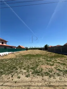 2 Terenuri- MOSNITA NOUA- Toate utilitatile - foto 2