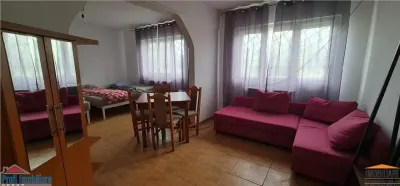 Cazare muncitori garsoniere/apartamente la curte in Vladimirescu - foto 15
