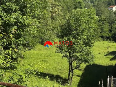 TEREN INTRAVILAN DE VANZARE IN POIANA CAMPINA | 3.526 MP | - foto 4