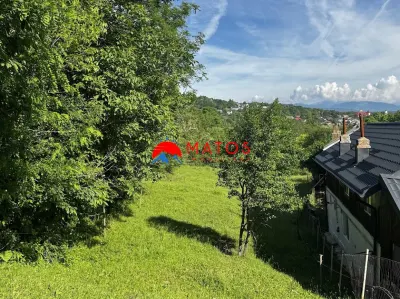 TEREN INTRAVILAN DE VANZARE IN POIANA CAMPINA | 3.526 MP | - foto 6