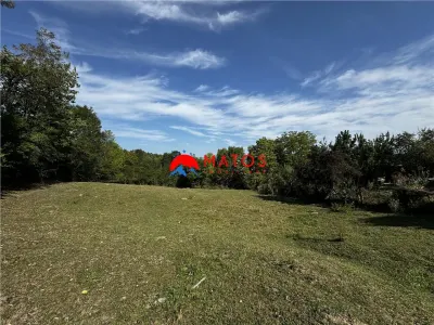 TEREN INTRAVILAN DE VANZARE IN POIANA CAMPINA | 3.526 MP | - foto 10