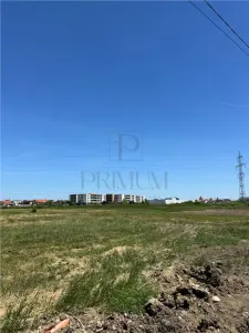 Doua Terenuri- MOSNITA NOUA- Doua FRONTURI STRADALE - foto 3