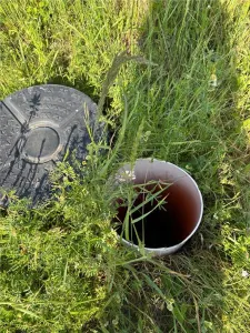 24 Terenuri- Mosnita Noua- TOATE UTILITATILE- zona in plina dezvoltare - foto 2