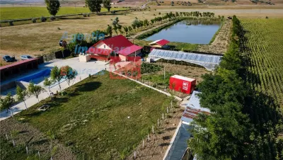 OPORTUNITATE! Proprietate deosebita de vanzare | Casa, 13.200 mp teren, doua iazuri cu peste | Raducaneni, Iasi - foto 2