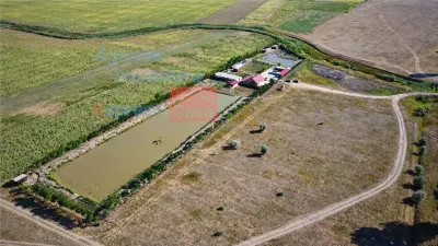 OPORTUNITATE! Proprietate deosebita de vanzare | Casa, 13.200 mp teren, doua iazuri cu peste | Raducaneni, Iasi - foto 3