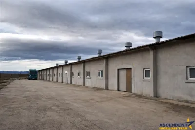 Hala industriala versatila,spatii cazare, platforma betonata,2.300 mp,Halchiu - Halchiu