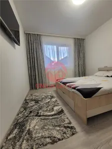 Casa in Stare Excelenta si Teren Concesiune, 230 mp, Lumina - foto 14